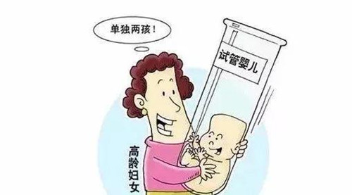 泰国试管婴儿成功率