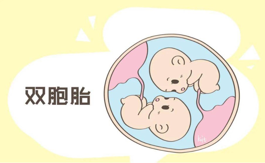 试管婴儿双胞胎，双胞胎真的那么好吗