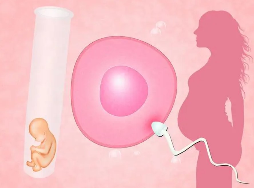 和宸分享试管婴儿和人工受孕的区别有哪些？