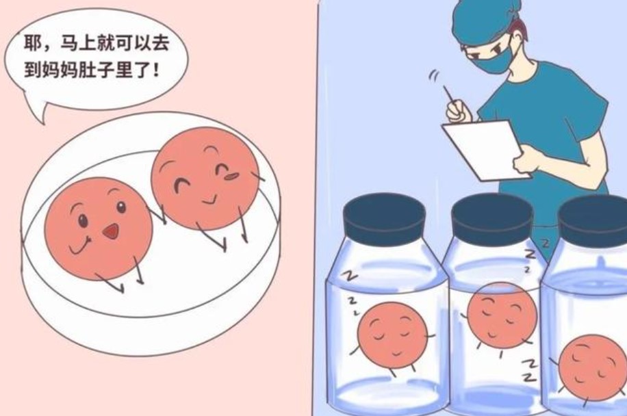 试管婴儿移植鲜胚和移植冻胚怎么选才好？